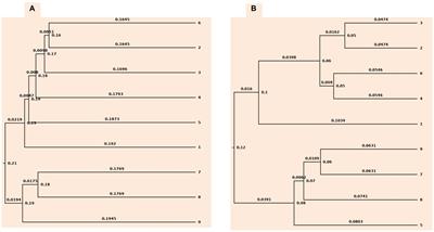 Soil bacterial community structure and functioning in a long-term conservation agriculture experiment under semi-arid rainfed production system